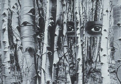 Photomontage Surrealism In Amongst The Thicket